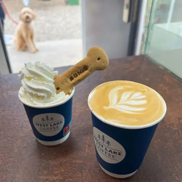 West Lake Coffee Shop, Savor the Moment at West Lake Aqua Park Killaloe’s Coffee Shop